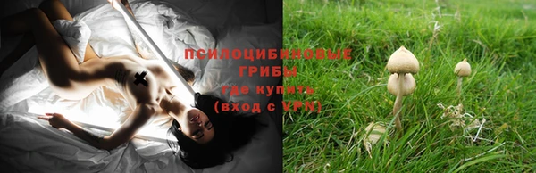 таблы Дмитриев